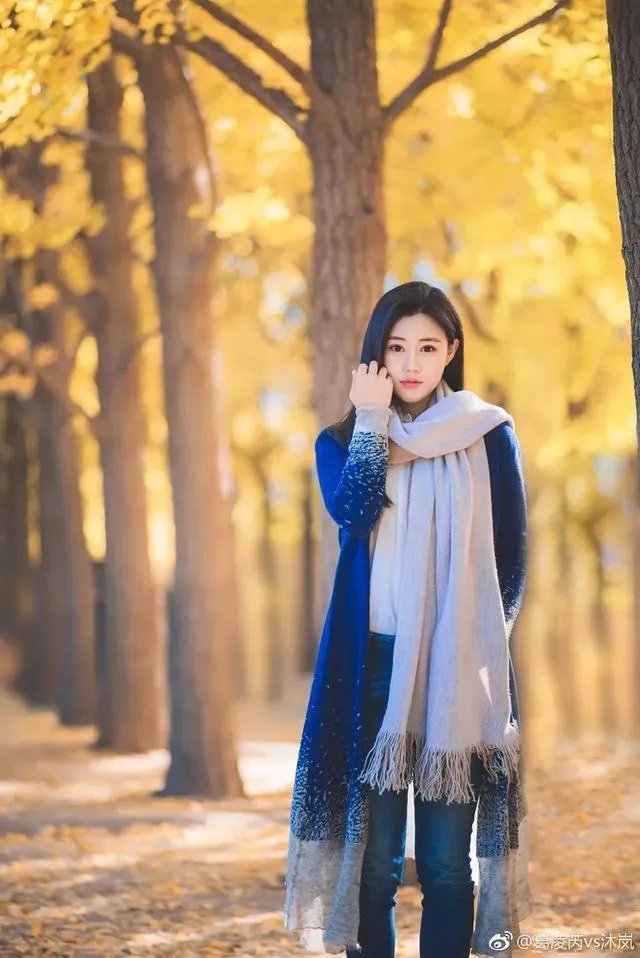 北雁云依案最后改名成功吗