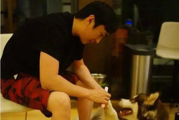 王思聪携女伴飞日本滑雪，为何被限高消费后仍如此潇洒？