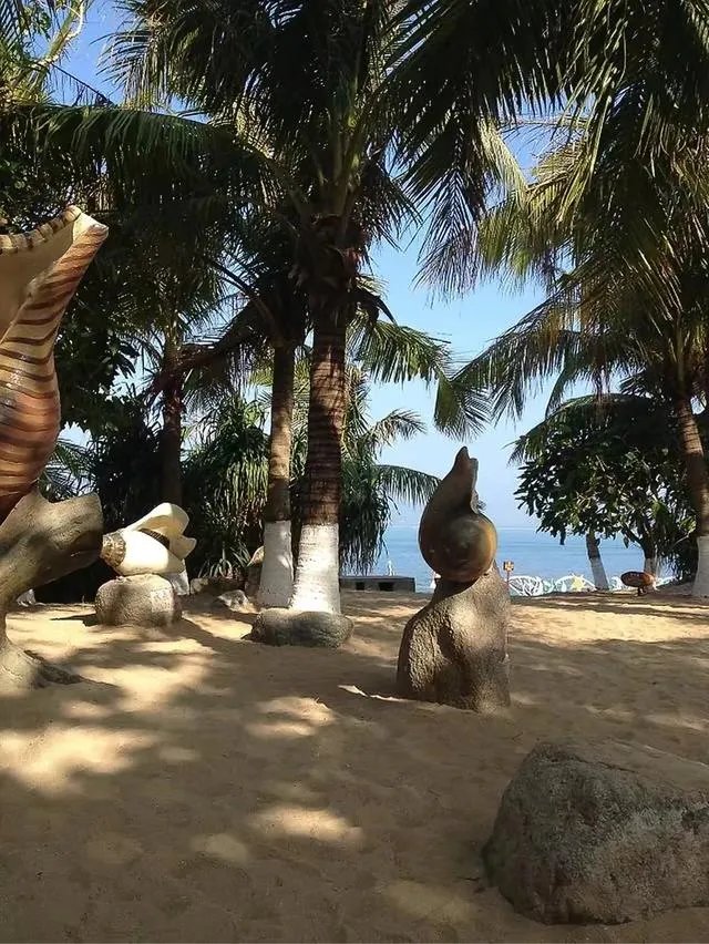 三亚湾和亚龙湾，哪个更好一些？