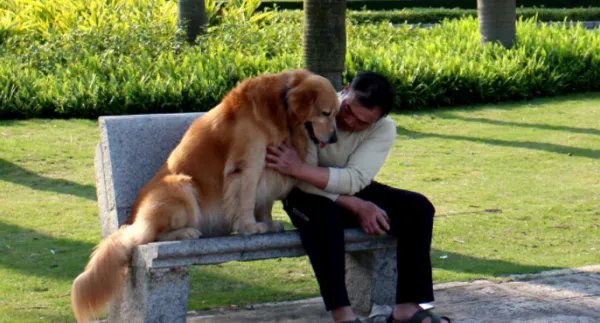 compatible是什么意思