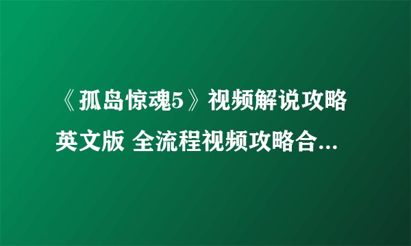 《孤岛惊魂5》视频解说攻略英文版 全流程视频攻略合辑【完结】