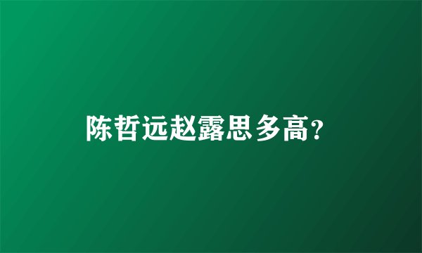 陈哲远赵露思多高？