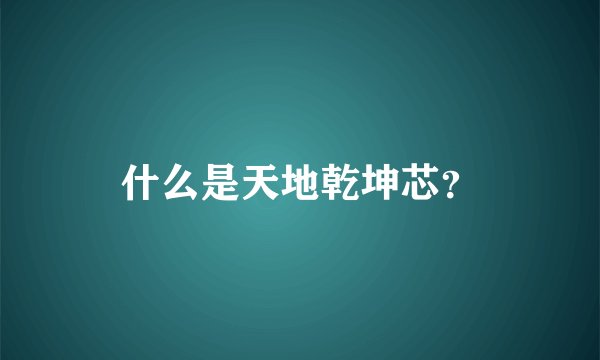什么是天地乾坤芯？