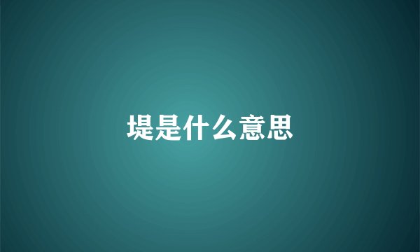 堤是什么意思