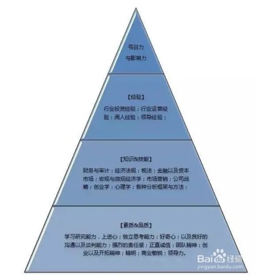 风险投资实用分析技巧