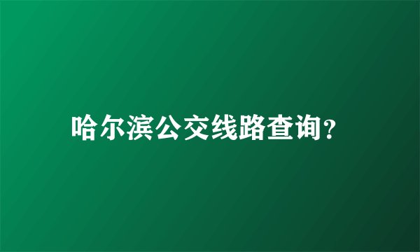 哈尔滨公交线路查询？
