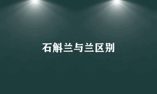石斛兰与兰区别