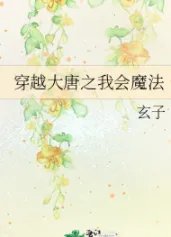 穿越大唐之我会魔法全文