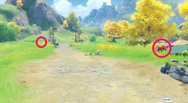 《原神》霓裳花位置及获取方法 3.4霓裳花收集路线