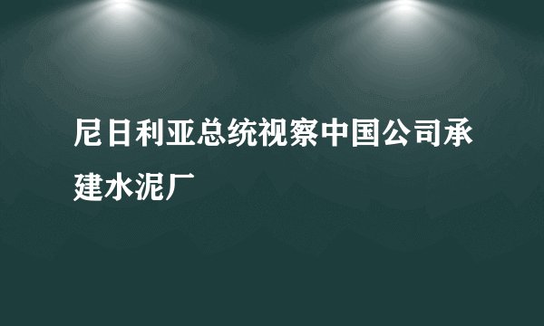 尼日利亚总统视察中国公司承建水泥厂