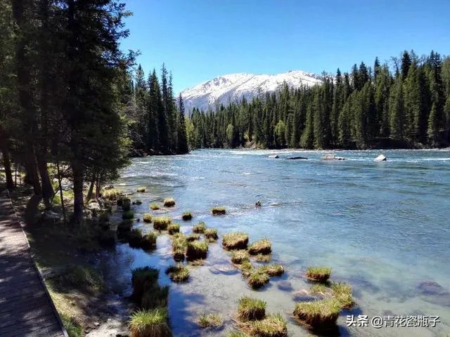 喀纳斯的风景如何?