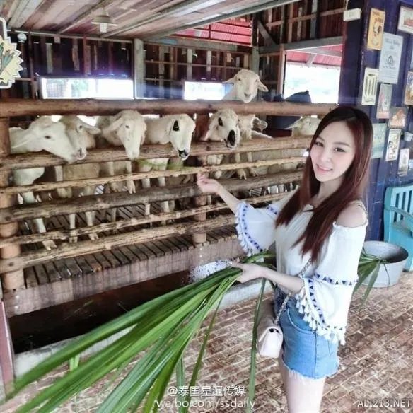 泰国“果汁西施”网络爆红 颜好身材棒才是卖水果利器