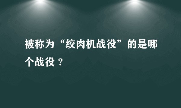 被称为“绞肉机战役”的是哪个战役 ?