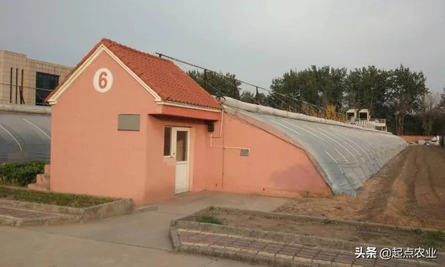 温室大棚的工作原理是什么？