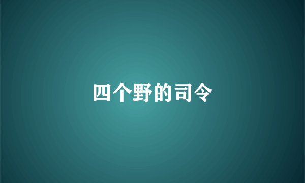 四个野的司令