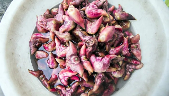 菱角怎么剥 菱角应该怎么剥