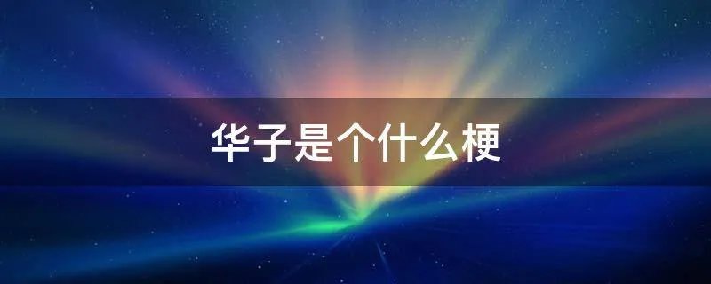 华子是个什么梗