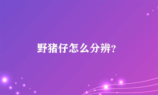 野猪仔怎么分辨？