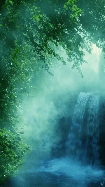 有看全网视频软件吗？