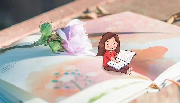 思密达的意思 思密达什么意思