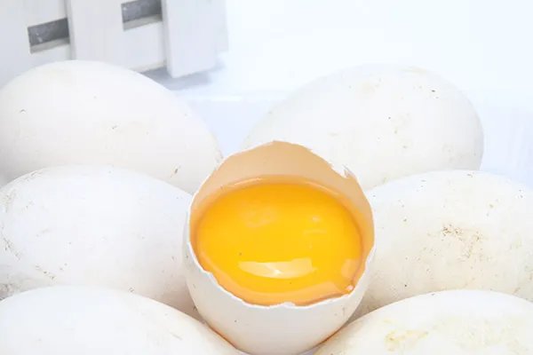 吃鹅蛋有什么好处