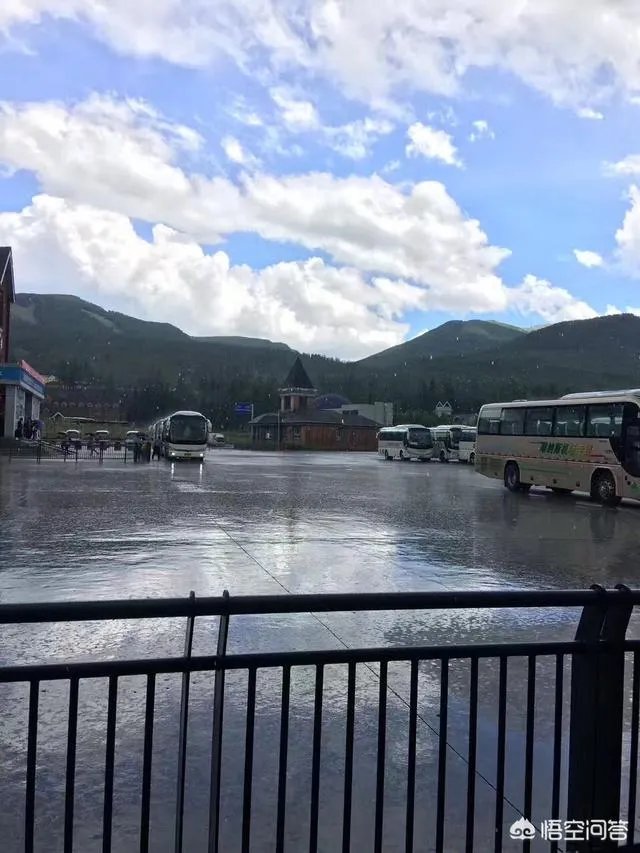 喀纳斯的风景如何?