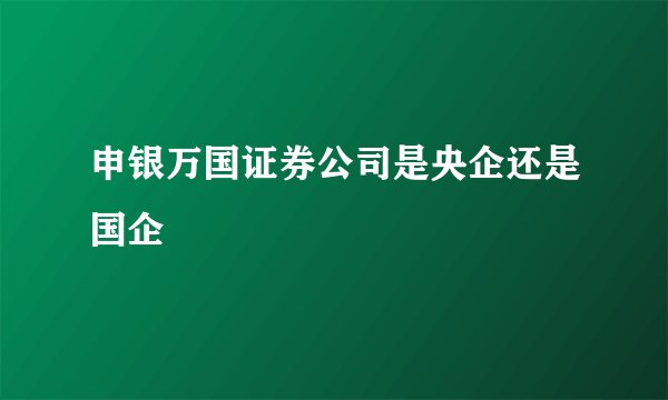 申银万国证券公司是央企还是国企