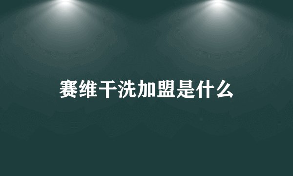 赛维干洗加盟是什么