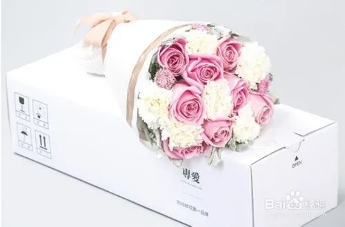 康乃馨多少钱一朵