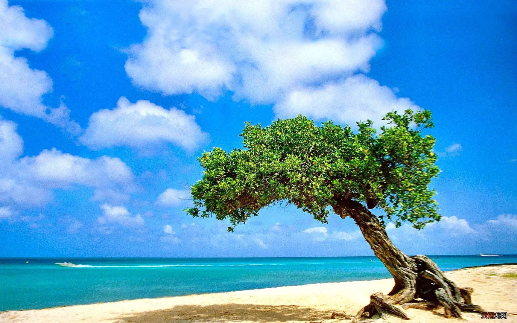 索爱w850i以前的价格是多少 索爱w850报价及参数罗列