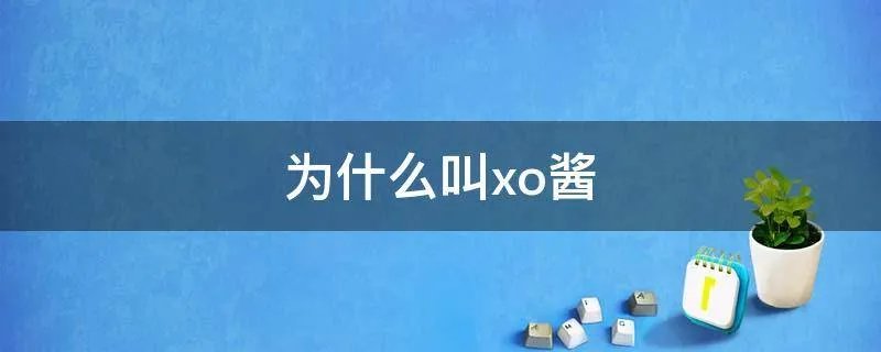 为什么叫xo酱