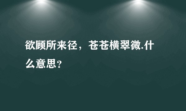 欲顾所来径，苍苍横翠微.什么意思？