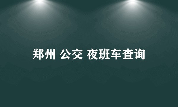 郑州 公交 夜班车查询