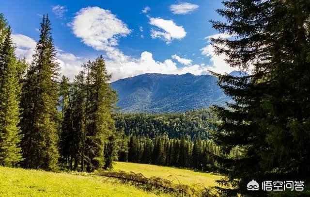 喀纳斯的风景如何?