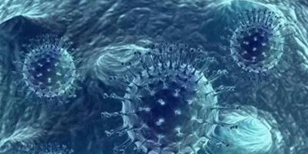 关于哈尔滨16名学生感染诺如病毒一事，你有何看法？