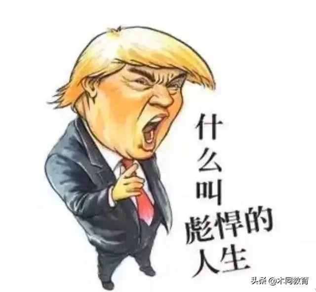 特朗普做了什么，让胡锡进隔空怒怼？