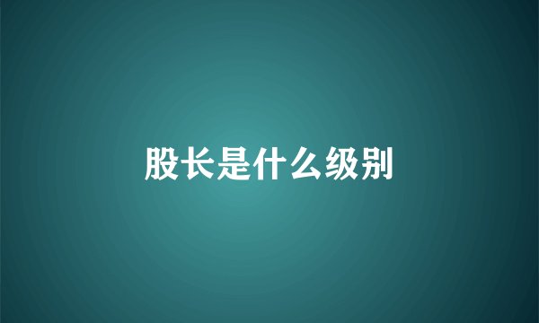 股长是什么级别