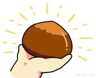 格斗游戏什么意思