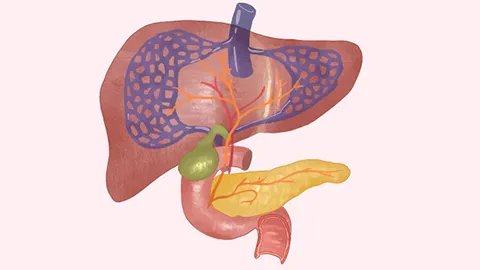 什么是慢性胆管炎