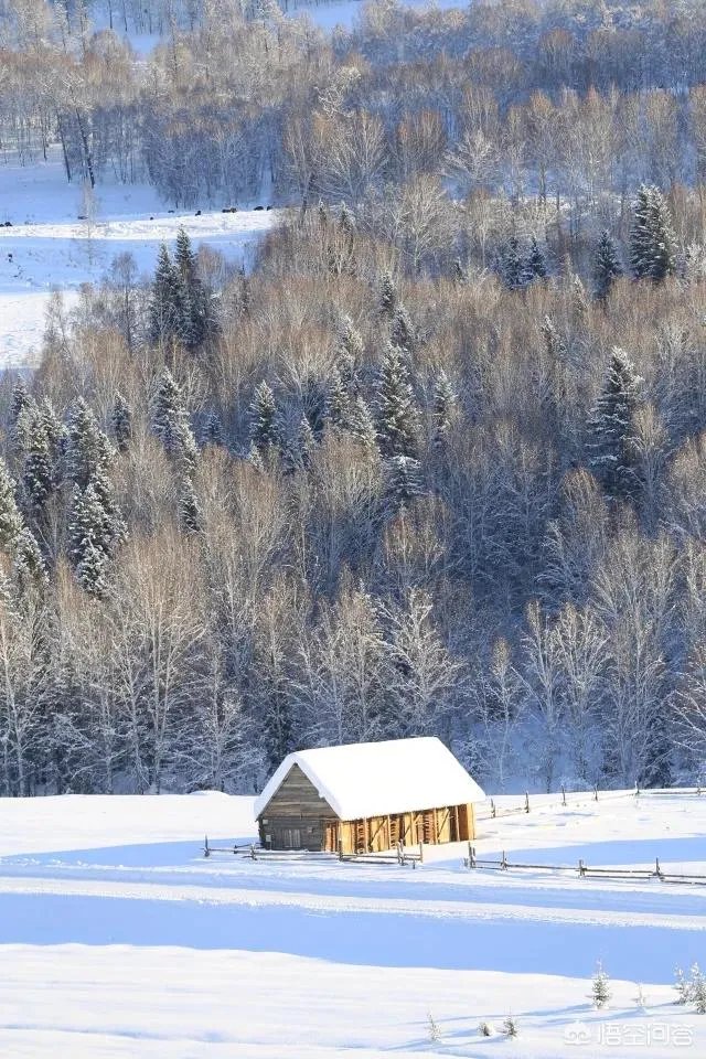 喀纳斯的风景如何?