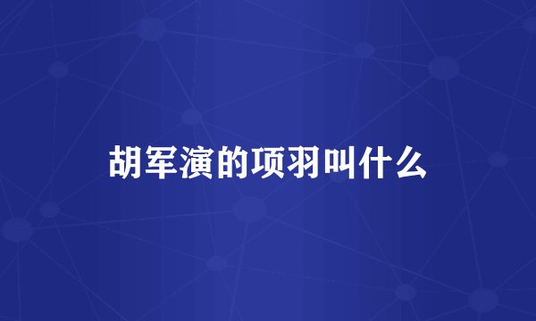 胡军演的项羽叫什么