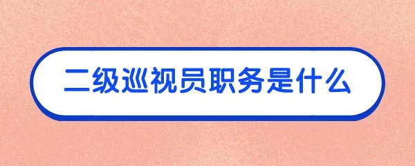 二级巡视员职务是什么