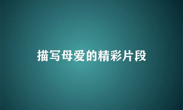 描写母爱的精彩片段