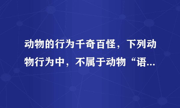 动物的行为千奇百怪，下列动物行为中，不属于动物“语言”的是（　　）A．蚊叮咬人B．雌蛾释放性外激素C