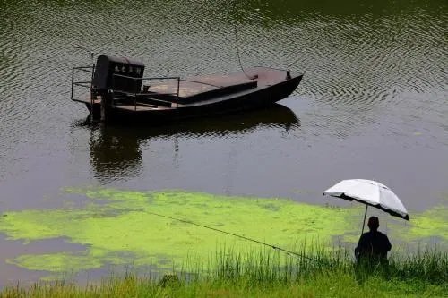 住组词都有哪些