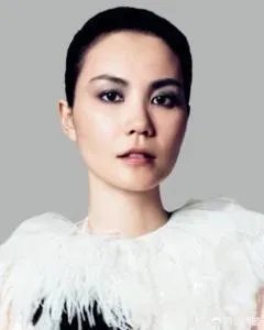 获得吉尼斯记录的大陆明星有哪些?