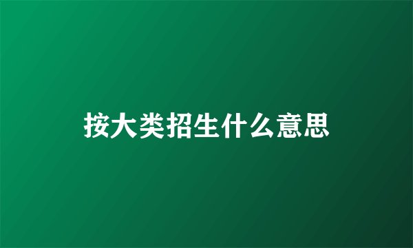 按大类招生什么意思