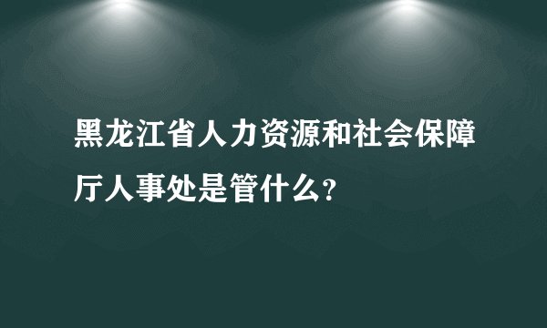 黑龙江省人力资源和社会保障厅人事处是管什么？