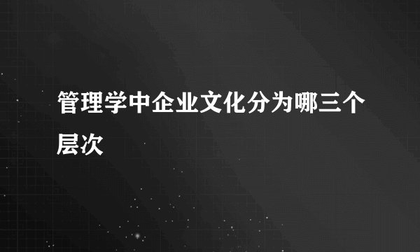 管理学中企业文化分为哪三个层次