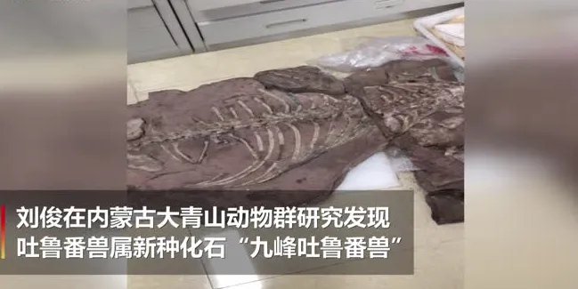 中国发现2.5亿年前九峰吐鲁番兽，这个生物到底是什么模样？